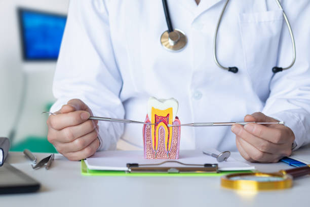 Best Tooth Infection Emergency Dentist  in Tenaha, TX